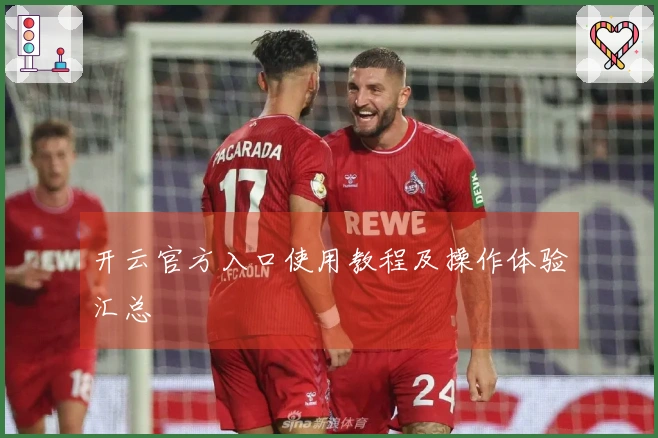 开云官方入口使用教程及操作体验汇总