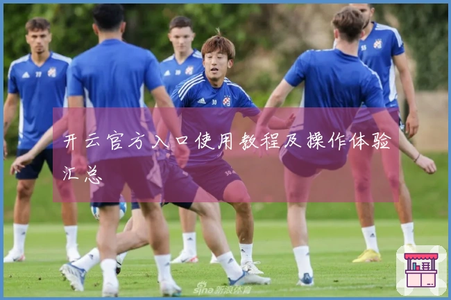 开云官方入口使用教程及操作体验汇总