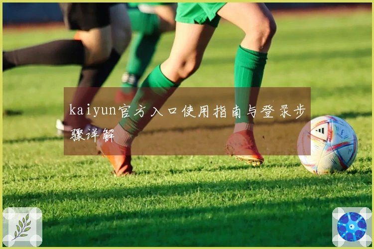 kaiyun官方入口使用指南与登录步骤详解